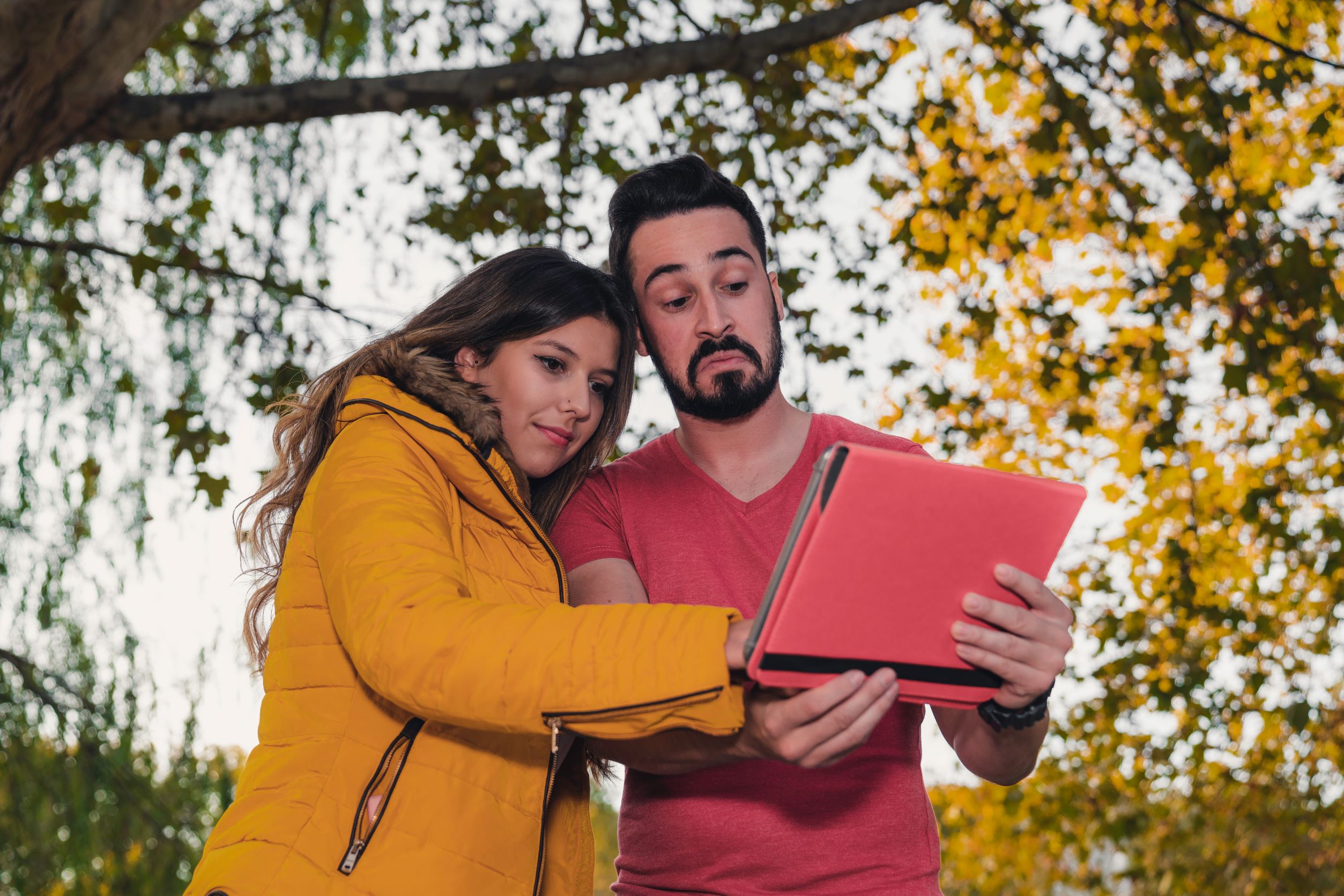 Woman and man looking at a table screen with a tree behind them