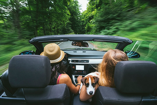 Happy Women Driving Convertible with Vehicle Protection Services